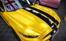 Load image into Gallery viewer, Satin Chrome Yellow RG-709