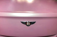 Load image into Gallery viewer, Satin Chrome Soft Pink RG-721