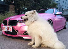 Load image into Gallery viewer, Satin Chrome Love Pink RG-725